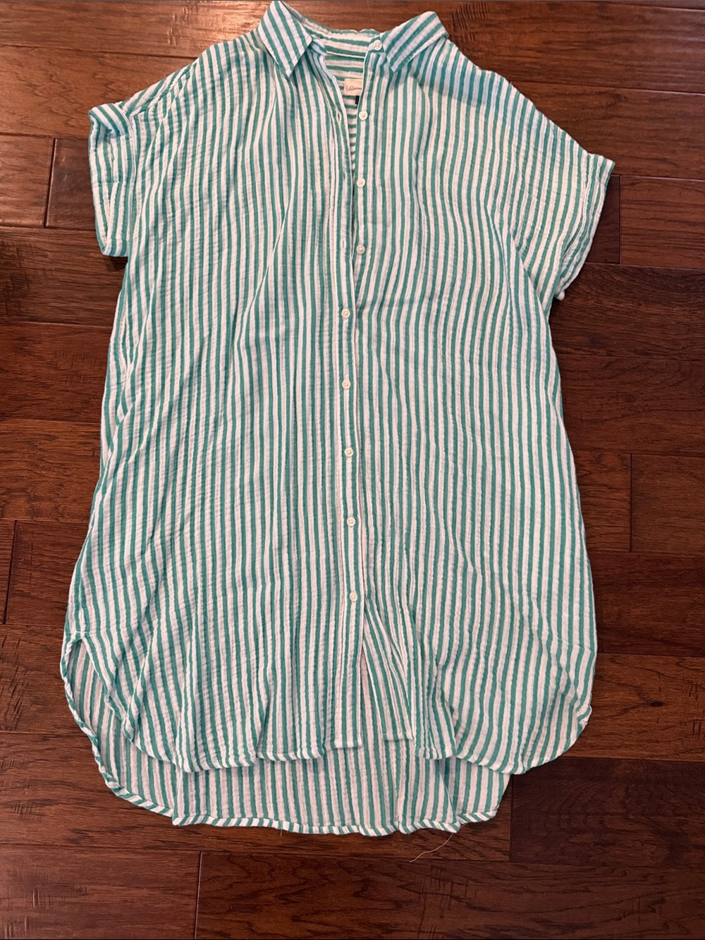 Women’s Striped Button-Front Shirt Dress in Green and White